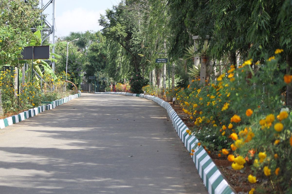 A flower-lined avenue on the green MMS campus