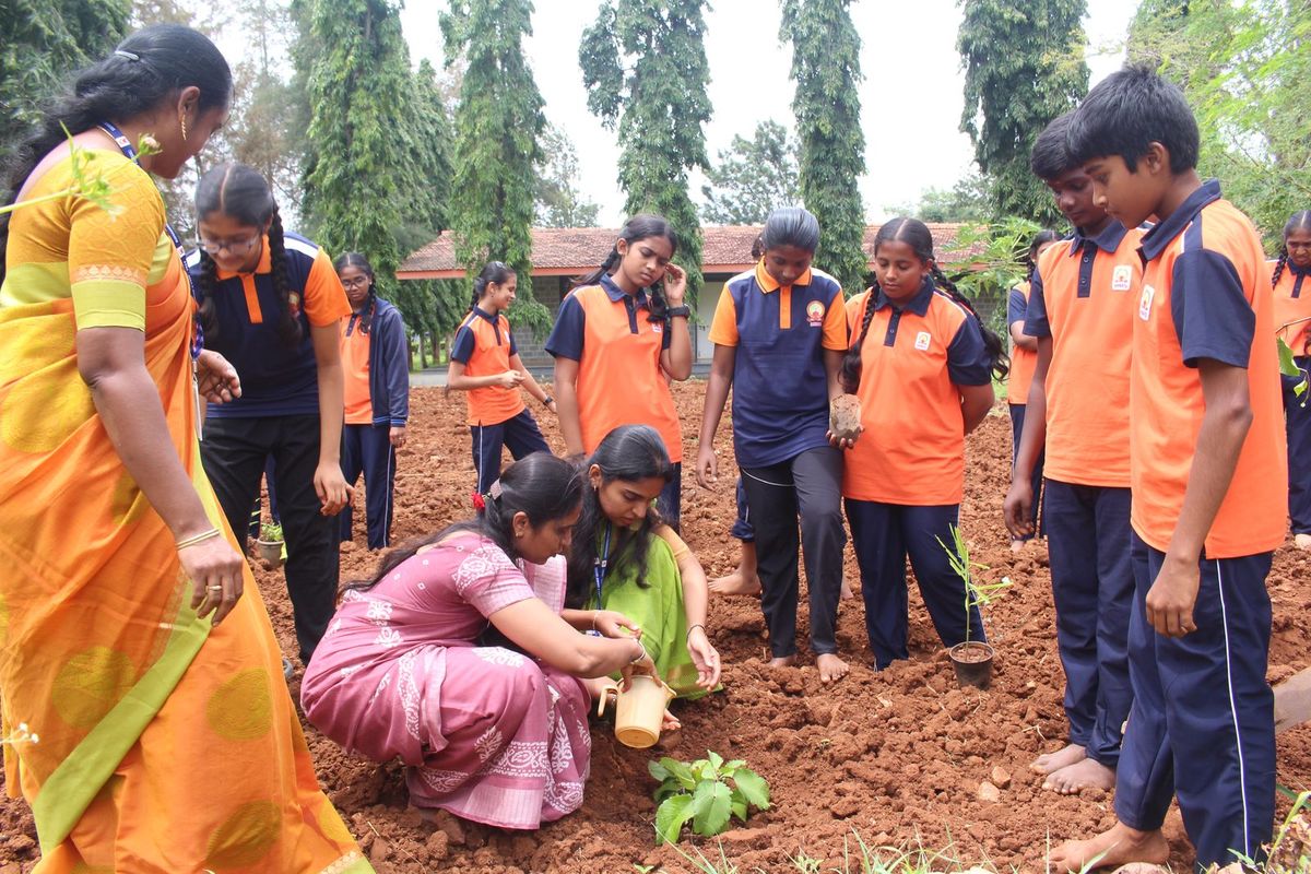Staff and students planting a sapling together