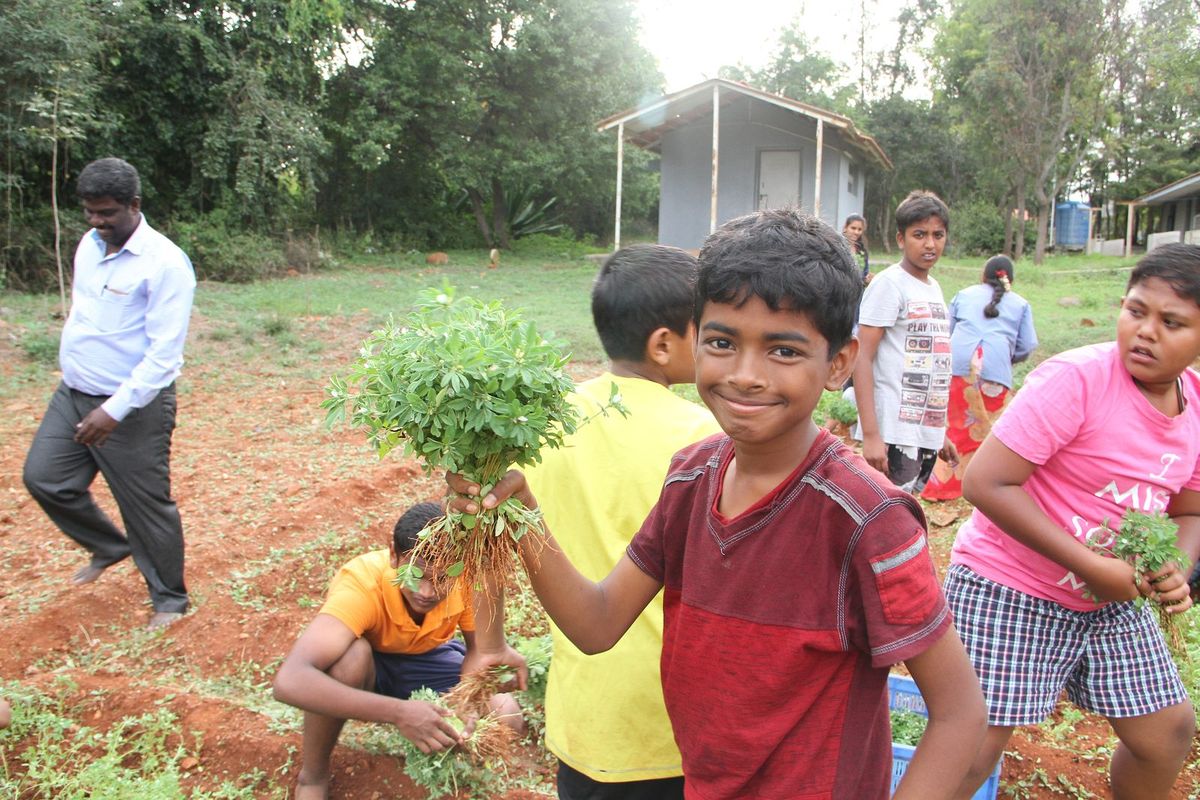 A boy proudly holding a bunch of freshly pulled greens