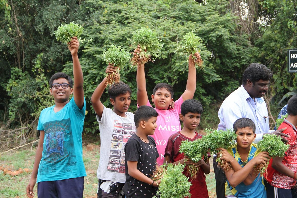 Students holding up freshly pulled greens