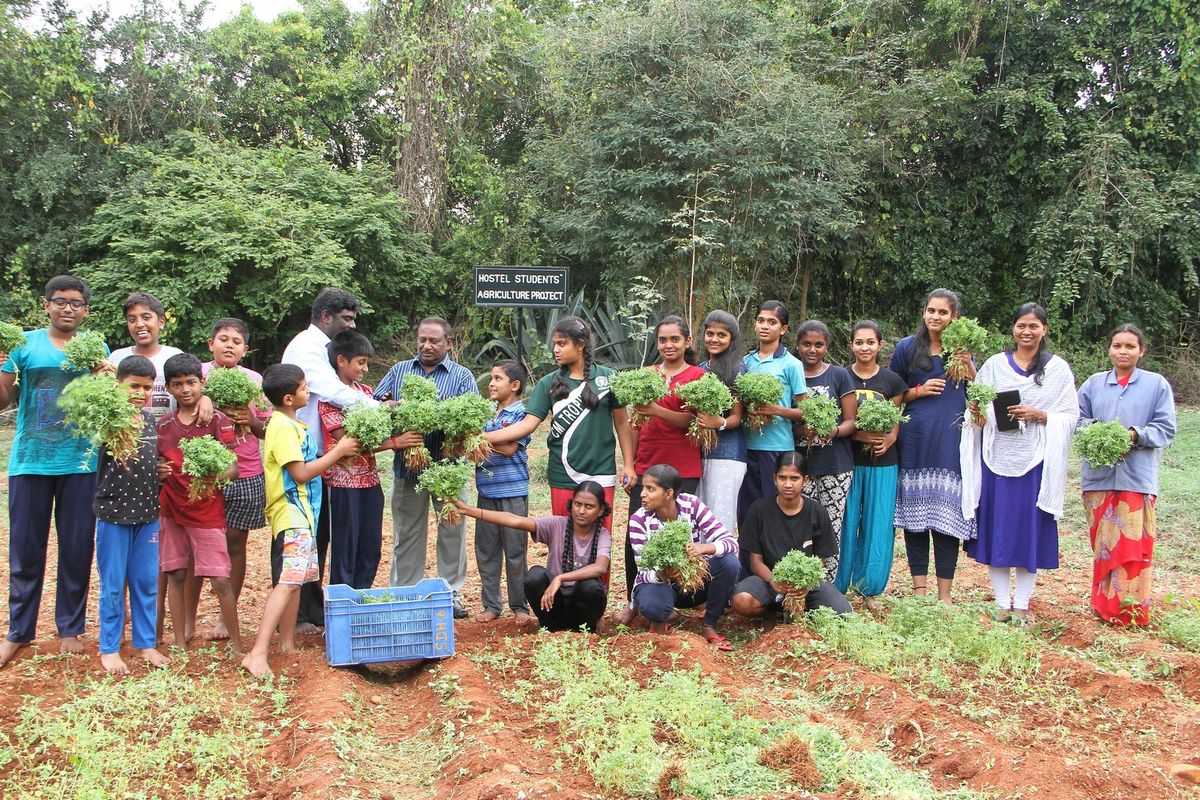 Students holding freshly picked greens after a harvest in the school fields
