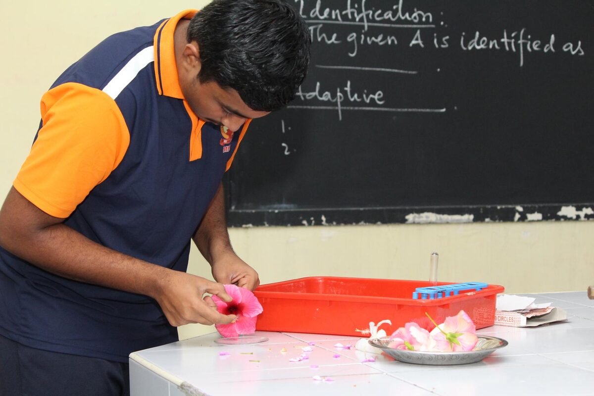 A student carrying out a specimen identification exercise, guided by the blackboard notes