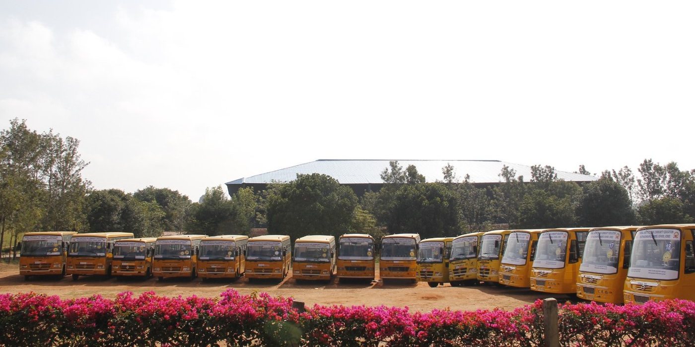 The MMS school bus fleet parked in a row on campus, in front of a hedge of pink bougainvillea